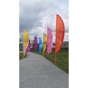 Banderas Impresas Coloridas con Diseño de Palmera para Exhibición en Exteriores - Product Image 4