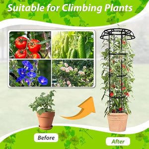 Soporte para Plantas de Hierro Negro con Altura Ajustable y Jaula Superior para Flores de Jardín al Aire Libre - Product Image 2