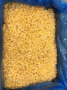 Maíz Dulce Congelado IQF, Maíz Dulce Entero Congelado IQF, Maíz Cocido - Product Image 2