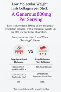 Bâton de gelée d'élastine de collagène 60 sachets avec supplément de collagène de poisson de faible poids moléculaire - Product Image 5