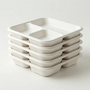 Assiette jetable carrée en bagasse écologique de 10 pouces à 3 compartiments, biodégradable et compostable, pour les fêtes - Product Image 5