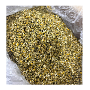 Fleurs de Camomille Séchées pour Infusion – Vente en Gros du Vietnam – Fournisseur de Thé Botanique en Vrac pour Salons de Thé et Boissons - Product Image 1