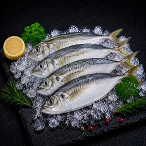 Pescado Congelado de Caballa con Sabor Natural a Mariscos, Carne Firme y Almacenamiento Conveniente para Servicio de Alimentos Regular - Product Image 6