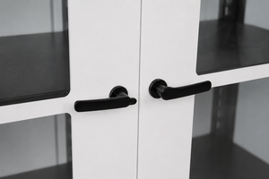 Armoire de stockage de produits chimiques métalliques pour laboratoire, usage commercial et industriel, sécurisée, résistante au feu, durable, personnalisable, conception sur mesure - Product Image 5
