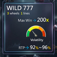 WILD 777 用于强大后端系统的实时营收监控软件