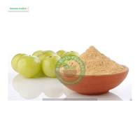 Wild Organic Natuurlijk Amla Fruitpoeder Hanuman Traders Top Kwaliteit Zijdezacht Verfrissend Haarconditioner Extract