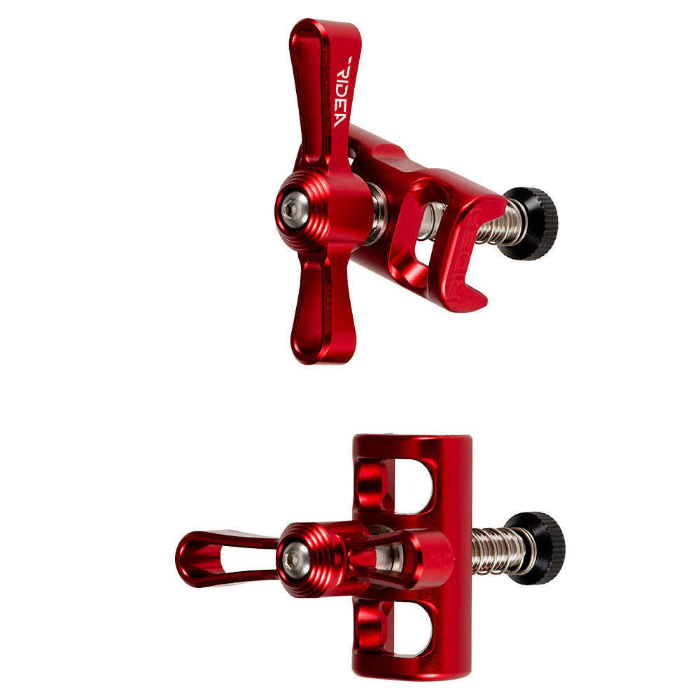 แชมเปญสีด้าน