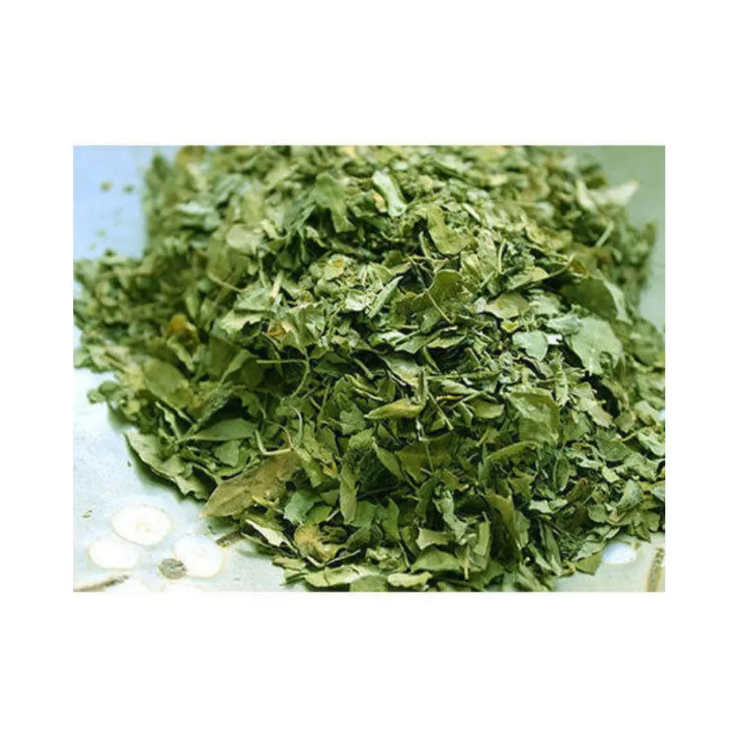 Preço barato moringa folha (moringa oleifera)