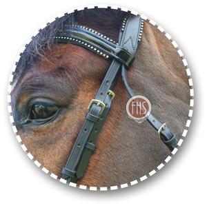 Brida de Cuero de Búfalo Indio de la Mejor Calidad, Marca FHS, Modelo PBR023, Decorada con Cristales, Brida para Caballo con Riendas de Cuero a Juego, Personalizada - Product Image 2