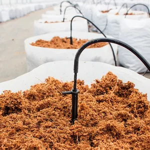 Cocopeat Supplier - Cocopeat Manufacturer Indonesia