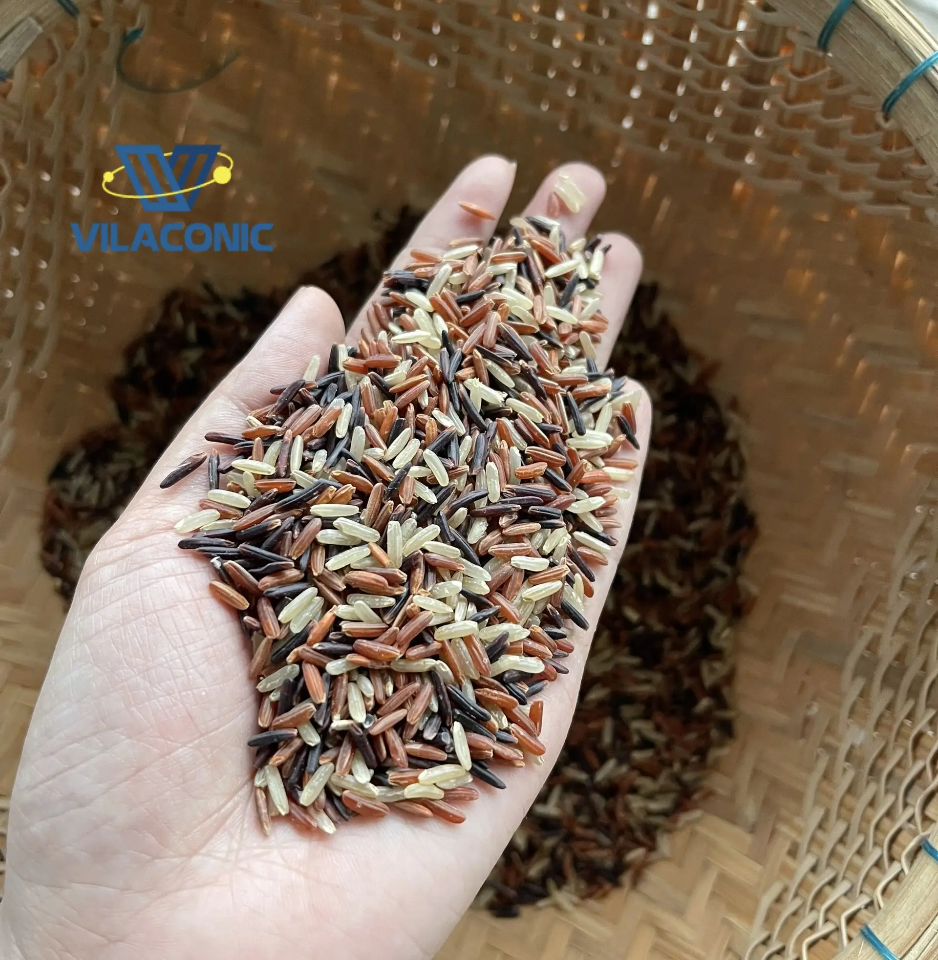 ORGANIC HEALTHY COLOUR RICE -RIZ COMPLET BIO FROM VIETNAM FACTORY (CONTACT Viber, Whatsapp: (+84)972678053)