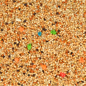 Alimento para Perros Quik Budgie Gold con Palitos 500 Gr - Product Image 2