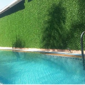 Panneaux muraux d'herbe de villa fabriqués en Turquie Structure en acier de conception moderne Couleur verte pour une utilisation de balcon d'intimité extérieure Garantie de 5 ans - Product Image 5