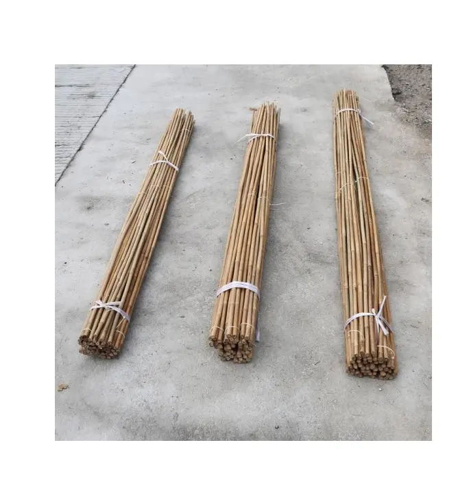 Tiang Bambu/Tiang Lurus Mentah Bambu Harga Terbaik dari VIETNAM // Rachel: + 84896436456 99 Data Emas