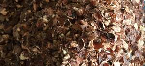 Polvo de cáscara de anacardo Natural, Pellets a granel de 3-10mm, residuos agrícolas, pescado, perro, cerdo, ganado, alimentación de caballos, muy barato - Product Image 6