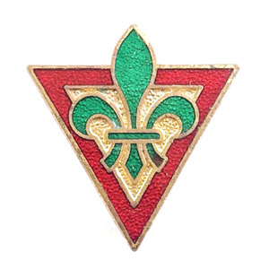 Goupilles à revers carrées de scout, vente en gros, fournisseur OEM, logo personnalisé, en alliage de zinc, métal BSA cube, scout - Product Image 6