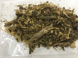 Meilleure vente!!! Maïs d'ensilage avec des normes d'exportation élevées et des prix compétitifs du VIETNAM 2023 - Product Image 3