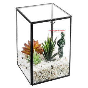 Terrario de Metal y vidrio con acabado dorado y forma de sentadillas, excelente calidad para decoración del hogar y jardín - Product Image 6