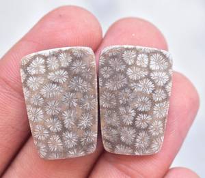 Wholesale Free Size Natural Fossil Coral Semi Precious Stone Pair Fossil Coral Matched Gemstone Pair - Product Image 1