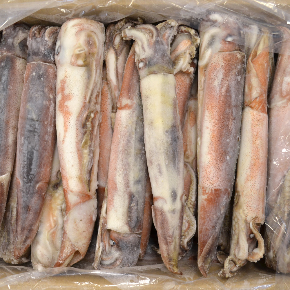 Серебристый каламари (кальмар), недорогой замороженный иллекс, кальмар, холодный дом Todarodes Pacificus / lllex