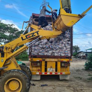 Materia Prima de Ratán Natural al por Mayor para Fabricar Muebles // Jolene C +84 336089155 - Product Image 3