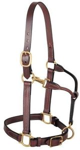 Licol de course d'endurance pour chevaux en PP de luxe avec boucle en laiton, taille personnalisée, confortable et durable, logo personnalisé PK - Product Image 6