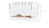 Empire Ants AG7 - Fourmilière pour fourmis du désert - Gravier en plastique - Plante artificielle - Design classique - Écologique - Toutes saisons