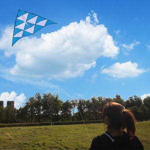 Al por mayor personalizado kitesurf <span class=keywords><strong>Naish</strong></span> de tela de nylon chino Norte deporte gran cometa delta de weifang china - Product Image 4