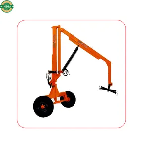 International Supplier Heavy Lifting Hoists Cranes For Industrial Use at Reasonable Price