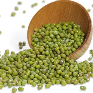 面向现成市场的散装优质绿色绿豆