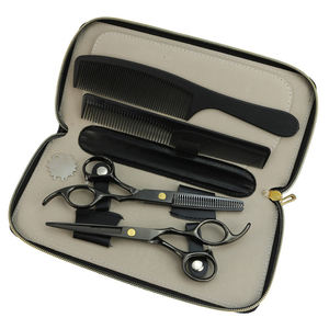 Kit profesional de corte de pelo, tijeras de peluquería de 2021 pulgadas, venta al por mayor, nuevo, precio bajo, 6,0 - Product Image 1