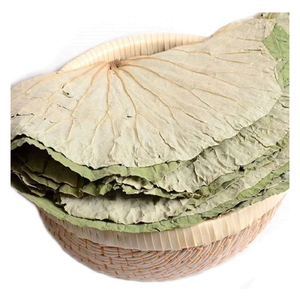 Feuilles de lotus entières séchées avec des pièces décoratives dans une grande peinture - Matériaux naturels vietnamiens - Product Image 5