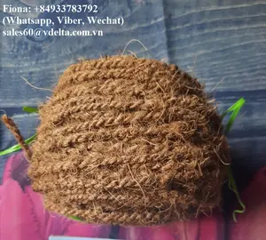 Высококачественная Кокосовая веревка/веревка из кокосового волокна/лучший выбор из Вьетнама (+ 84 896611913)