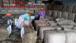 Vainas de Senna T Cut (Cassia Angustifolia) de la Agricultura de la India para Uso Laxante - Product Image 6