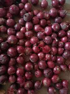 Cebollas Rojas frescas sudafricanas 5-7/6-8/8-10/10-12cm Embalado 10KG/20KG/25KG Precio barato Envío marítimo y aéreo - Product Image 3