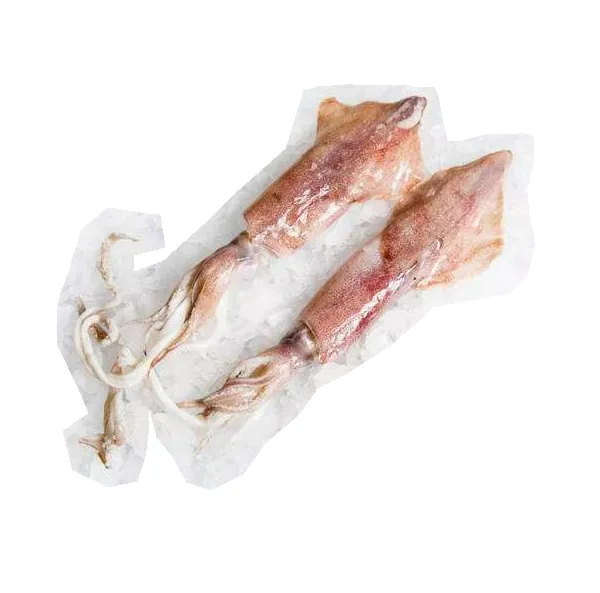 ベトナム産の新鮮冷凍イカを競争力のある価格でCE EU証明書付きの栄養価の高いイカ米国バッグブロック用