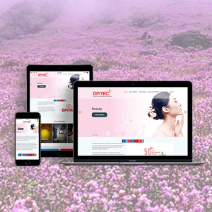 บริษัทออกแบบและพัฒนาWordPressชั้นนำในอินเดีย | บริการพัฒนาWordPressที่ได้รับรางวัลโดยWebroot Infosoft - Product Image 1