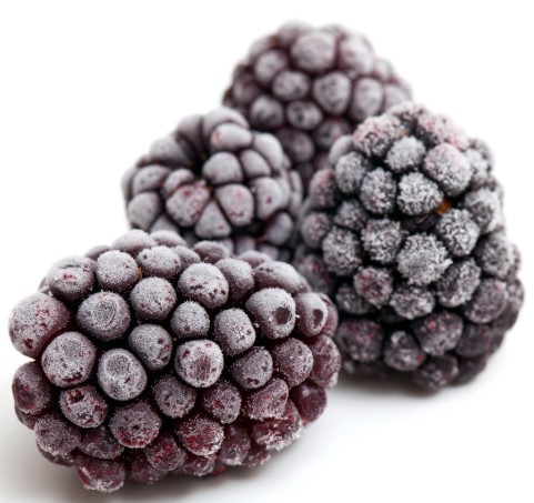 Best Quality Organic Sweet Fresh Delicious Blackberry Grade a HACCP/GAP/ISO9001 Certified US Origin Wholesale/Bulk
