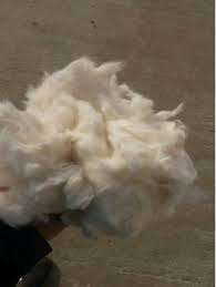 ALGODÓN COMBER NOIL DE VIETNAM AL MEJOR PRECIO - Product Image 3