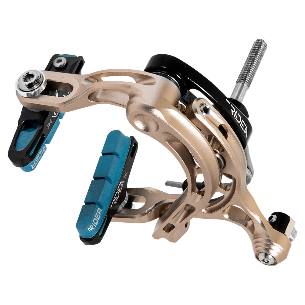 แชมเปียนสีด้าน