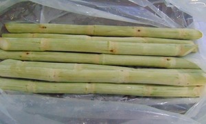 Caña de Azúcar Fresca Congelada Directamente del Campo para Jugo, Agricultura Vietnamita Premium Fresca, GIMEX VIETNAM, 3 Años de Vida Útil, Empacada en Cartón - Product Image 3