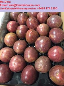 Fruta fresca de la pasión de gran calidad, producto de Vietnam, 2022 fresca, precio competitivo - Product Image 5