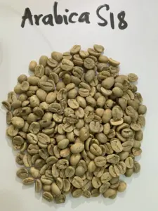 بيع بالجملة قهوة خضراء فيتنامية عالية الجودة بأفضل سعر حبوب أرابيكا للاستيراد حبوب قهوة خام ذات نوعية جيدة