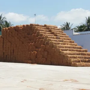 COCONUT DE COCO brut de l'exportateur de fibre de coco/fibre de coco écologique de haute qualité Whatsapp + 84-845-639-639 - Product Image 1