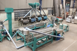 The Factory Specializes in Providing New Automatic Industrial Cashew Peeling <b>Machines</b> From Vietnam - Product Image 5