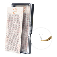 Extensions de cils en volume russe 3D 4D 5D en fibres PBT coréennes de haute qualité, bouquets pré-faits, courbure C/D/BC