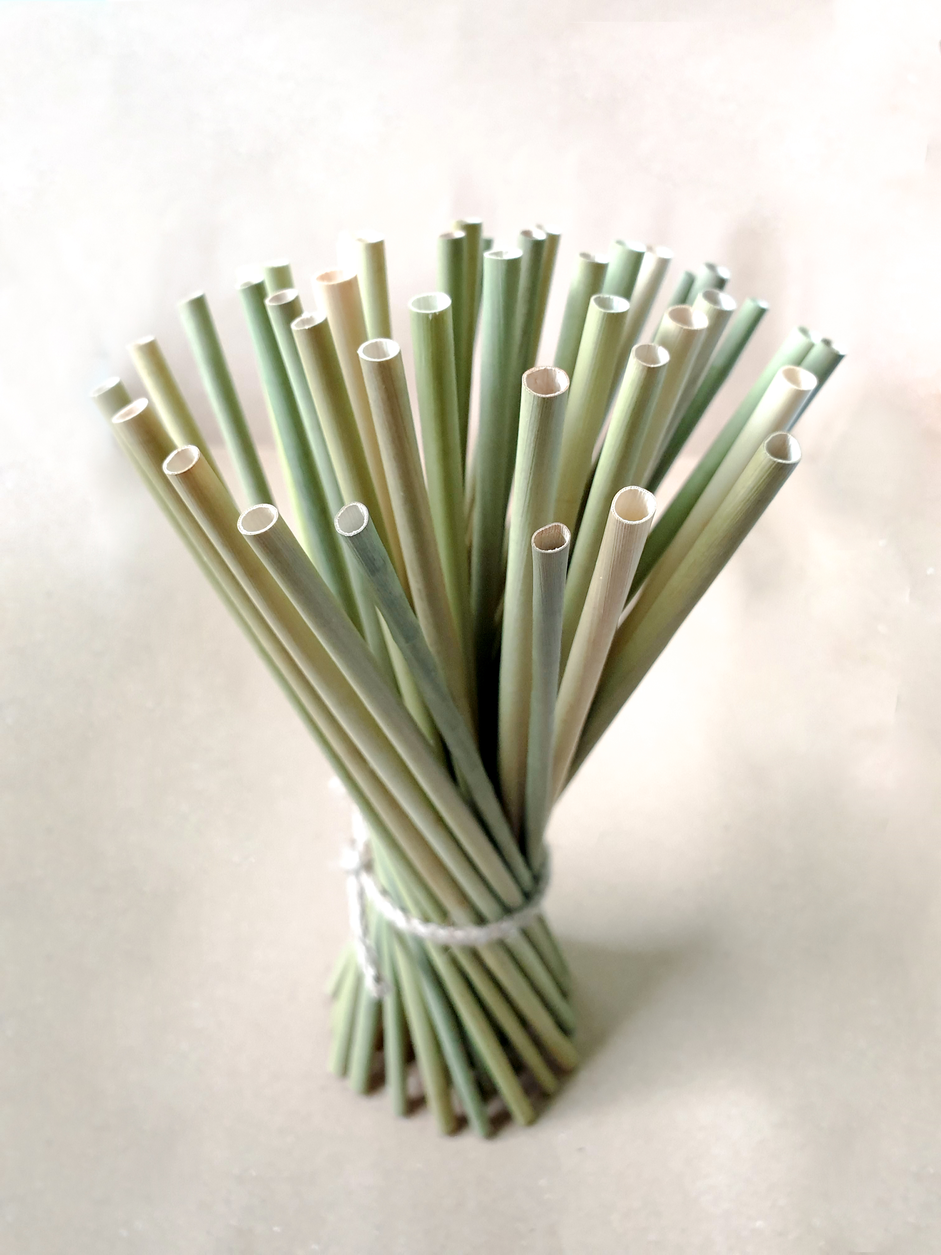 สีดำสีกากี