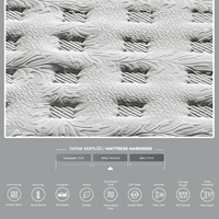Matelas Contemporain en Mousse à Mémoire de Forme Rafraîchissante, Anti-Bactérien, avec Housse Amovible, Emballé Sous Vide, pour Chambre à Coucher, Maison, Hôpital, Hôtel
