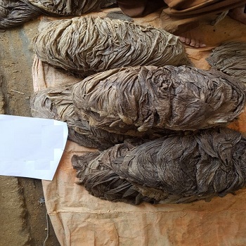 Соленая сушеная говядина 100% Omasum