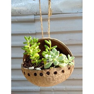 Decoración del jardín de cáscara de coco flor olla/colgante de coco plantador/de plantador de la pared diferentes diseño y precio barato - Product Image 6